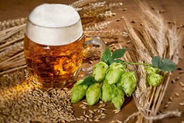 hacer cerveza casera