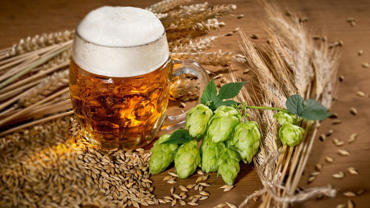 hacer cerveza casera