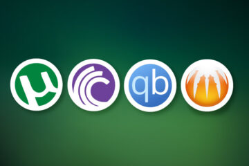 Aprender a usar torrents