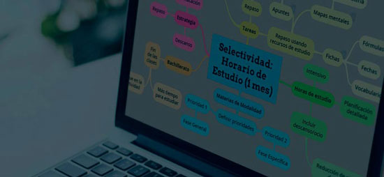 Preparación selectividad