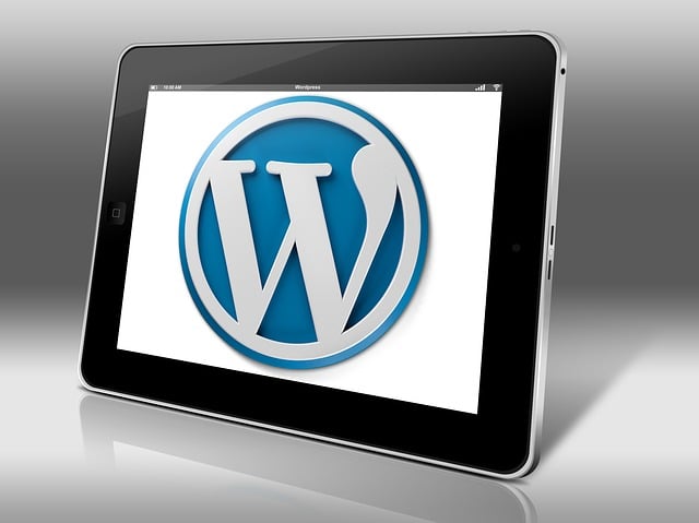 Aprender a instalar un theme en Wordpress